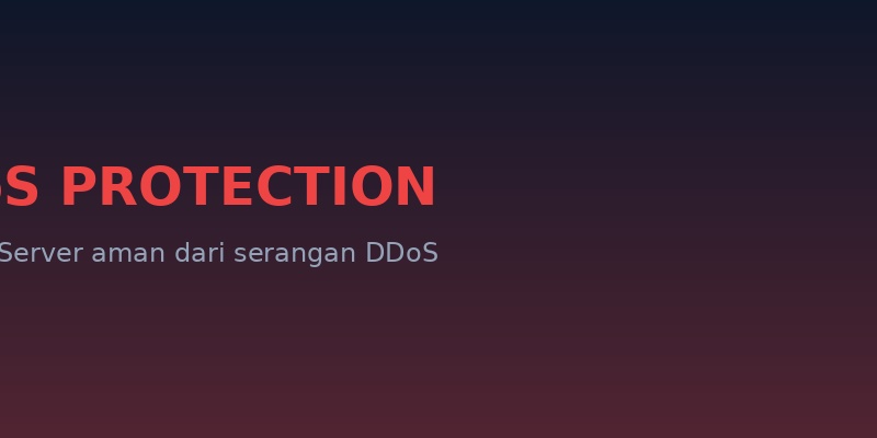 DDoS Protection